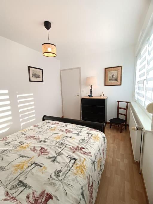 Strasbourg 3 Pieces Avec Jardin Apartment บรูมัธ ภายนอก รูปภาพ