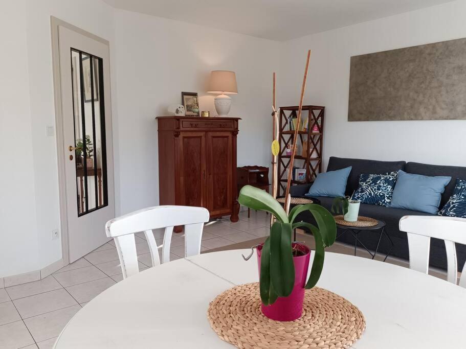 Strasbourg 3 Pieces Avec Jardin Apartment บรูมัธ ภายนอก รูปภาพ