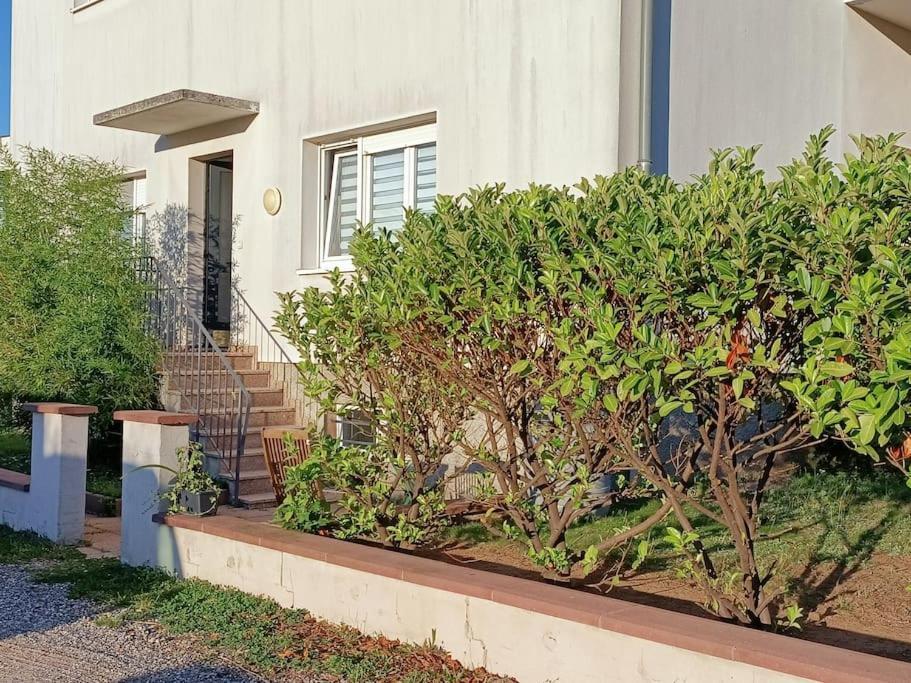 Strasbourg 3 Pieces Avec Jardin Apartment บรูมัธ ภายนอก รูปภาพ